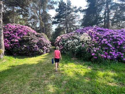 23-06-03 16-34-10 5781